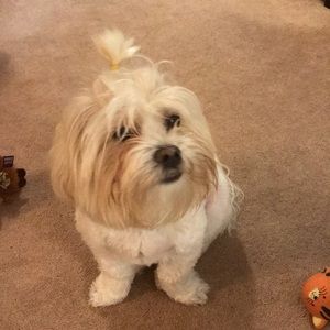 Meet your Posher, Cathy